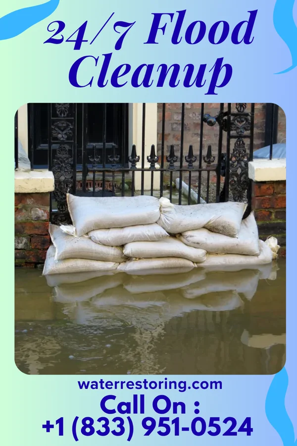 24/7 Flood Cleanup in Mansfield, MO