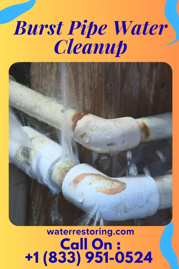 Burst Pipe Water Cleanup in Mansfield, MO