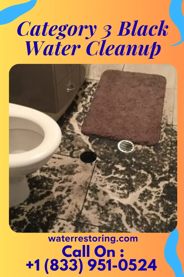 Category 3 Black Water Cleanup in Mansfield, MO