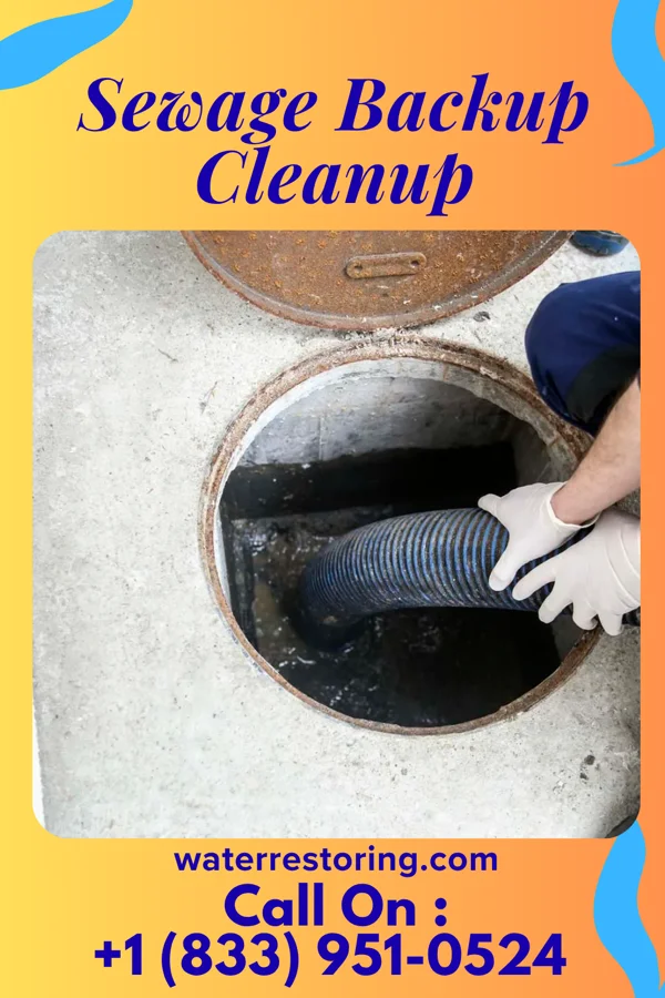 Sewage Backup Cleanup in Mansfield, MO