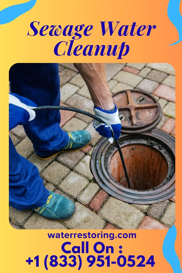 Sewage Water Cleanup in Mansfield, MO