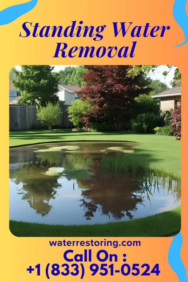 Standing Water Removal in Mansfield, MO
